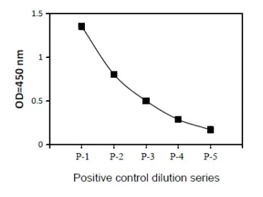 Sandwich ELISA - Phospho-Chk2 (T68) and Total Chk2 ELISA Kit (AB279762)