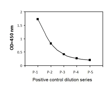 Sandwich ELISA - Phospho-Cyclin B1 (S126) and Total Cyclin B1 ELISA Kit (AB279767)