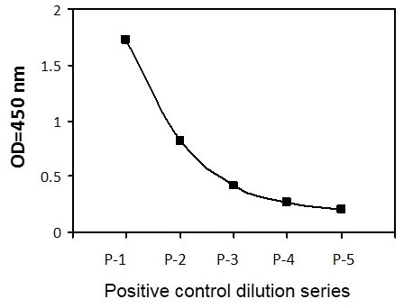 Sandwich ELISA - Phospho-Cyclin B1 (S126) ELISA Kit (AB279766)