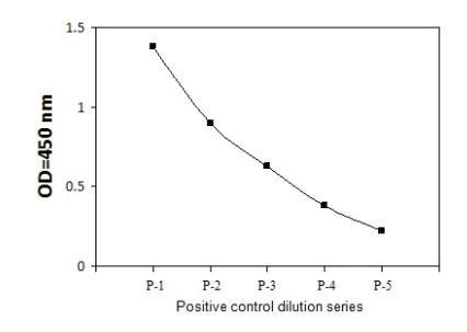 Sandwich ELISA - Phospho-DDR2 (Y740) and Total DDR2 ELISA Kit (AB279771)