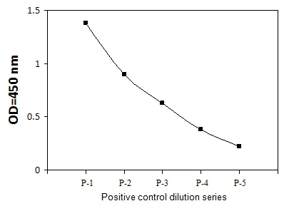 Sandwich ELISA - Phospho-DDR2 (Y740) ELISA Kit (AB279770)