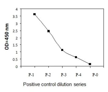 Sandwich ELISA - Phospho-EIF2S1 (S52) and Total EIF2S1 ELISA Kit (AB279775)