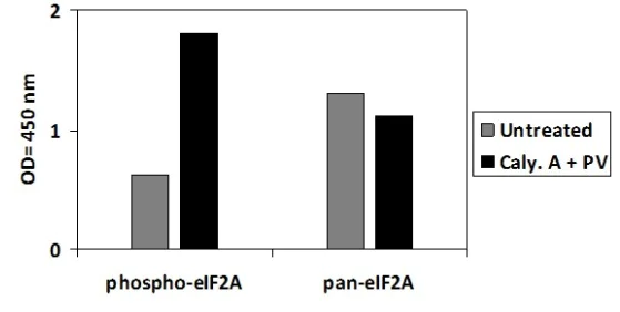 Sandwich ELISA - Phospho-EIF2S1 (S52) and Total EIF2S1 ELISA Kit (AB279775)