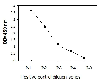 Sandwich ELISA - Phospho-EIF2S1 (S52) ELISA Kit (AB279774)