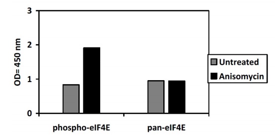 Sandwich ELISA - Phospho-eIF4E (S209) and Total eIF4E ELISA Kit (AB279777)