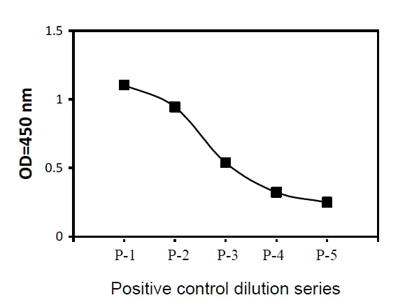 Sandwich ELISA - Phospho-eIF4E (S209) ELISA Kit (AB279776)