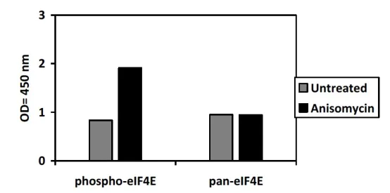Sandwich ELISA - Phospho-eIF4E (S209) ELISA Kit (AB279776)