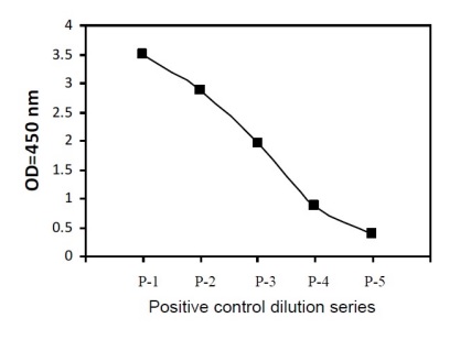 Sandwich ELISA - Phospho-eIF4EBP1 (T36) and Total eIF4EBP1 ELISA Kit (AB279726)