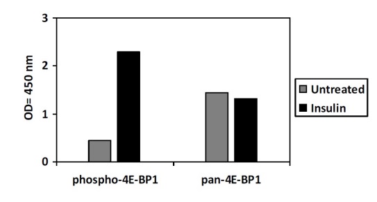 Sandwich ELISA - Phospho-eIF4EBP1 (T36) and Total eIF4EBP1 ELISA Kit (AB279726)
