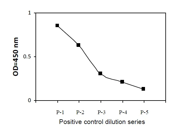 Sandwich ELISA - Phospho-eNOS (S1177) ELISA Kit (AB279778)