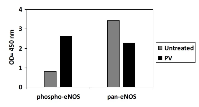 Sandwich ELISA - Phospho-eNOS (S1177) ELISA Kit (AB279778)