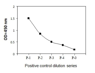 Sandwich ELISA - Phospho-ErbB3 / HER3 (Y1262) and Total ErbB3 / HER3 ELISA Kit (AB279791)