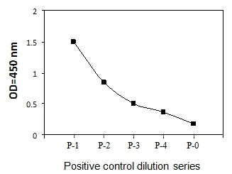Sandwich ELISA - Phospho-ErbB3 / HER3 (Y1262) ELISA Kit (AB279790)