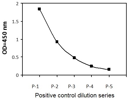 Sandwich ELISA - Phospho-Estrogen receptor alpha (Ser118) ELISA Kit (AB279786)