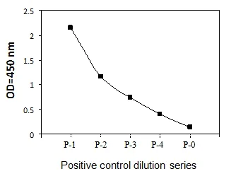 Sandwich ELISA - Phospho-FAK (Y397) ELISA Kit (AB279795)