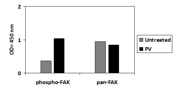 Sandwich ELISA - Phospho-FAK (Y397) ELISA Kit (AB279795)