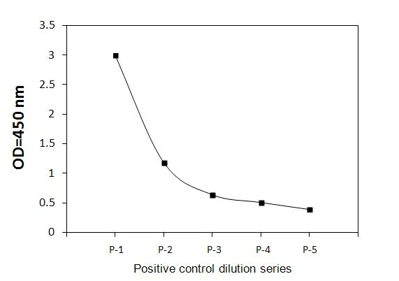 Sandwich ELISA - Phospho-Flt3 / CD135 (Y589) ELISA Kit (AB279799)