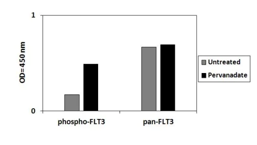 Sandwich ELISA - Phospho-Flt3 / CD135 (Y589) ELISA Kit (AB279799)