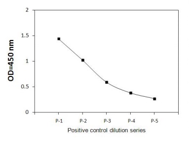Sandwich ELISA - Phospho-FOXO3A (S253) ELISA Kit (AB279801)