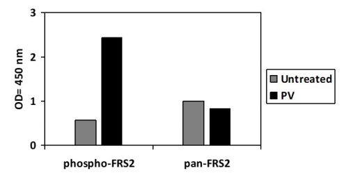 Sandwich ELISA - Phospho-FRS2 (Y436) and Total FRS2 ELISA Kit (AB279806)