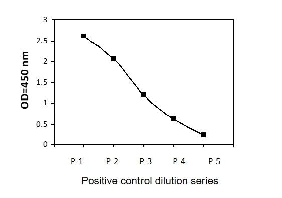 Sandwich ELISA - Phospho-FRS2 (Y436) ELISA Kit (AB279805)