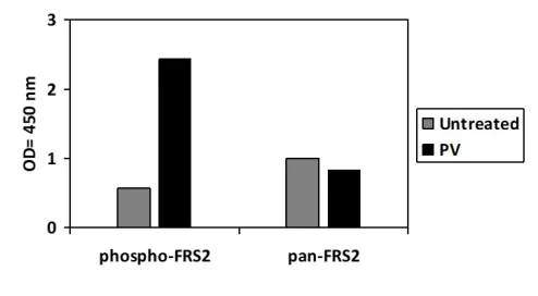 Sandwich ELISA - Phospho-FRS2 (Y436) ELISA Kit (AB279805)