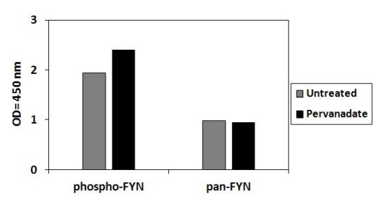 Sandwich ELISA - Phospho-Fyn (Tyr530) and Total Fyn ELISA Kit (AB279809)
