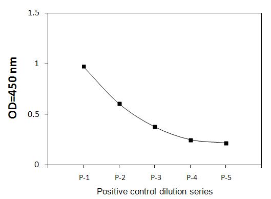Sandwich ELISA - Phospho-Fyn (Y530) ELISA Kit (AB279808)