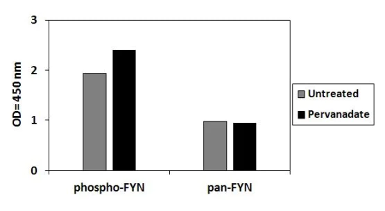 Sandwich ELISA - Phospho-Fyn (Y530) ELISA Kit (AB279808)