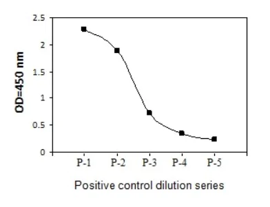 Sandwich ELISA - Phospho-gamma H2A.X (S139) and Total gamma H2A.X ELISA Kit (AB279817)