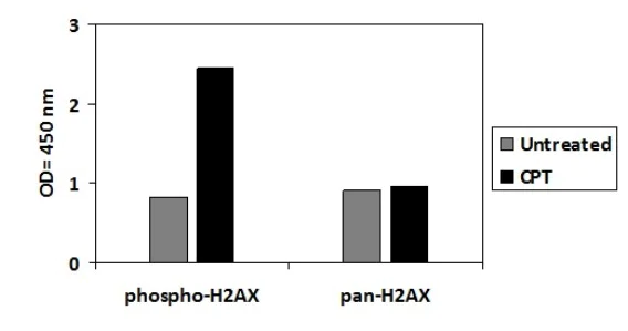 Sandwich ELISA - Phospho-gamma H2A.X (S139) ELISA Kit (AB279816)