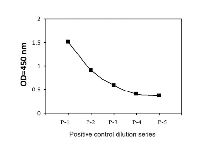 Sandwich ELISA - Phospho-Glucocorticoid Receptor (Ser226) and Total Glucocorticoid Receptor ELISA Kit (AB279811)