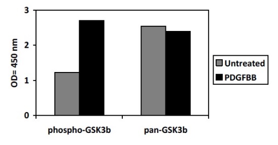 Sandwich ELISA - Phospho-GSK3 beta (S9) ELISA Kit (AB279814), expandable thumbnail