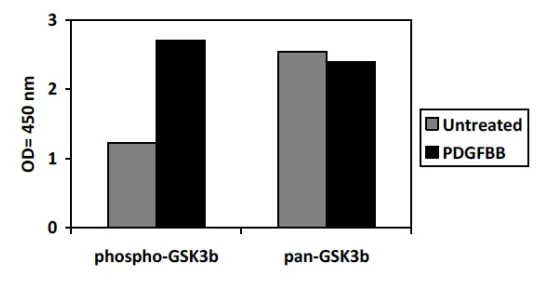 Sandwich ELISA - Phospho-GSK3 beta (S9) ELISA Kit (AB279814)