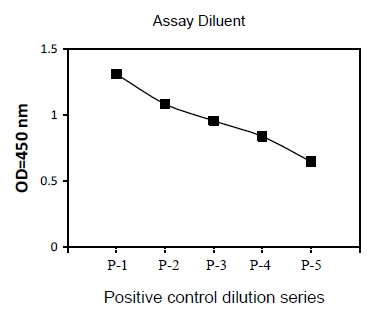 Sandwich ELISA - Phospho-Hsp27 (S82) ELISA Kit (AB279822), expandable thumbnail