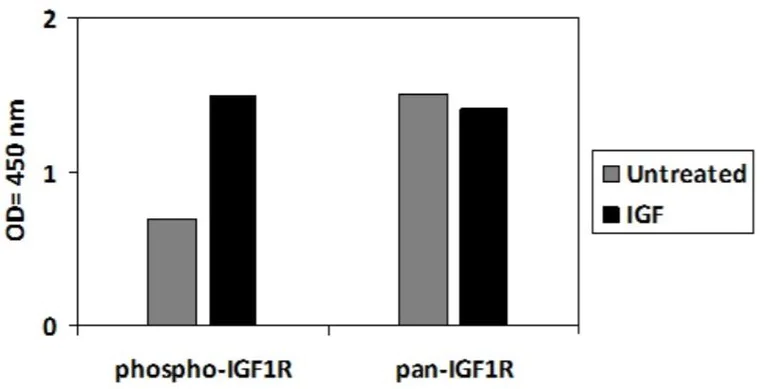 Sandwich ELISA - Phospho-IGF1 Receptor (Y1165/1166) ELISA Kit (AB279825)