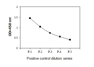 Sandwich ELISA - Phospho-IGF1 Receptor (Y1165/1166) ELISA Kit (AB279825)