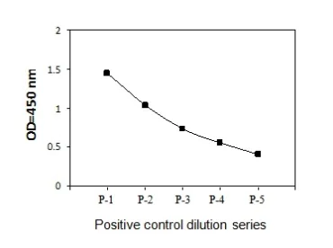 Sandwich ELISA - Phospho-IGF1 Receptor (Y1165/Y1166) and Total IGF1 Receptor ELISA Kit (AB279826)
