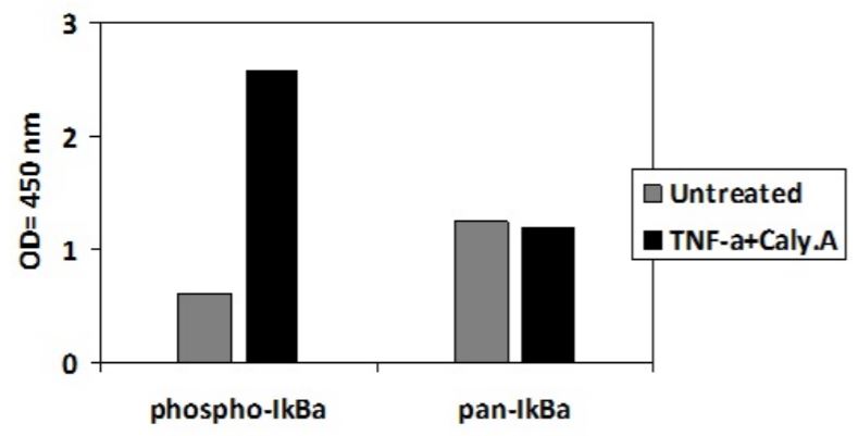 Sandwich ELISA - Phospho-IKB alpha (S32) ELISA Kit (AB279827)