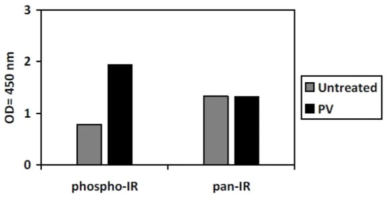 Sandwich ELISA - Phospho-Insulin Receptor (Y1189) and Total Insulin Receptor ELISA Kit (AB279831)