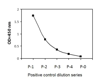 Sandwich ELISA - Phospho-IRF3 (S386) and Total IRF3 ELISA Kit (AB279834)