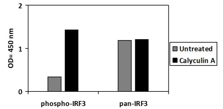 Sandwich ELISA - Phospho-IRF3 (S386) and Total IRF3 ELISA Kit (AB279834)