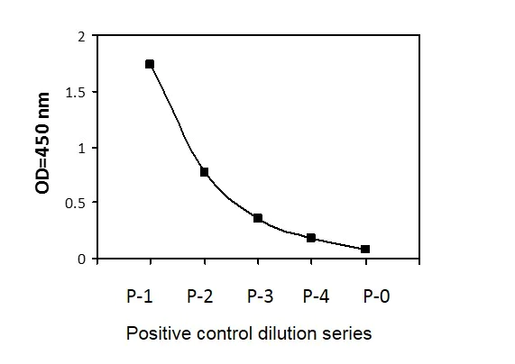 Sandwich ELISA - Phospho-IRF3 (S386) ELISA Kit (AB279833)