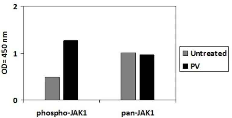 Sandwich ELISA - Phospho-JAK1 (Y1022) and Total JAK1 ELISA Kit (AB279838)