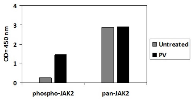 Sandwich ELISA - Phospho-JAK2 (Y1007/Y1008) ELISA Kit (AB279840), expandable thumbnail