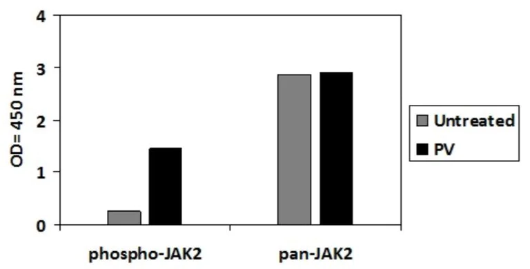 Sandwich ELISA - Phospho-JAK2 (Y1007/Y1008) ELISA Kit (AB279840)