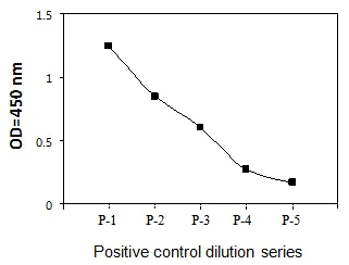 Sandwich ELISA - Phospho-JAK2 (Y1007/Y1008) ELISA Kit (AB279840)