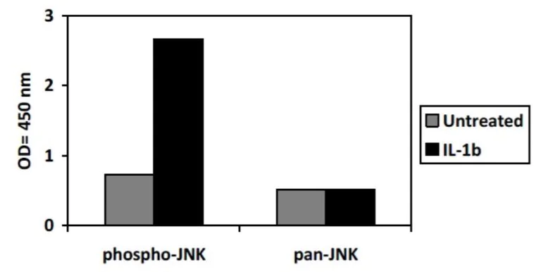 Sandwich ELISA - Phospho-JNK1 (T183/Y185) ELISA Kit (AB279841)