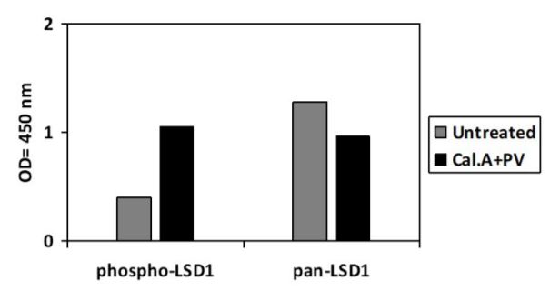 Sandwich ELISA - Phospho-KDM1/LSD1 (S112) and Total KDM1/LSD1 ELISA Kit (AB279853), expandable thumbnail