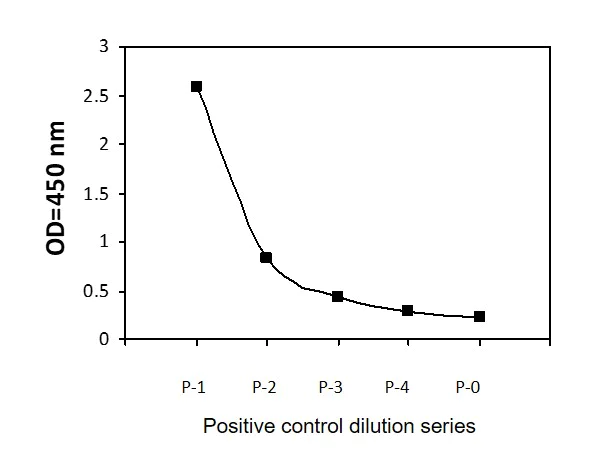 Sandwich ELISA - Phospho-KDM1/LSD1 (S112) ELISA Kit (AB279852)